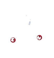 Animocraft